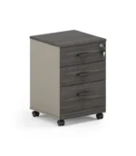 REGAL PD-601 Mobile Pedestal