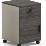 REGAL PD-602 Mobile Pedestal
