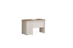 ZENITH OF-504 Office Desk - Image 2